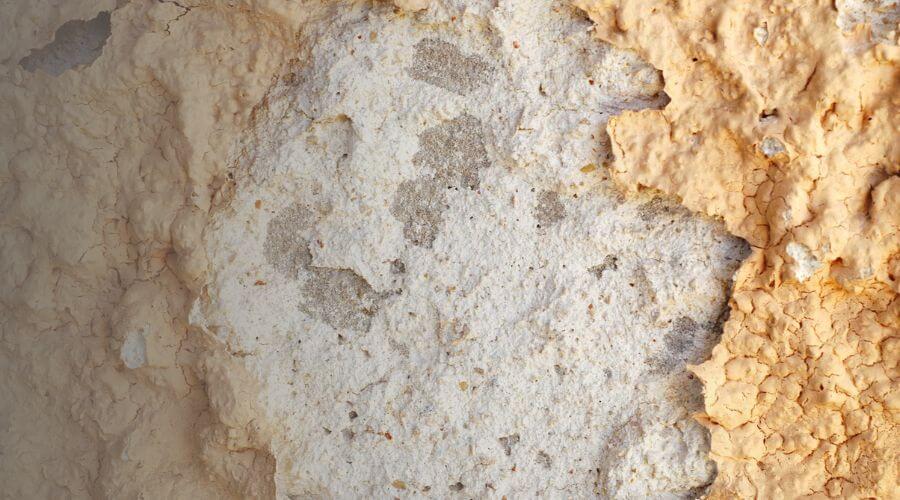 Why choose AquaSecure Crew for water damage restoration in Palmdale